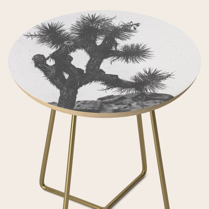 JOSHUA TREE XIII / California Desert Side Table Gallery Image 2
