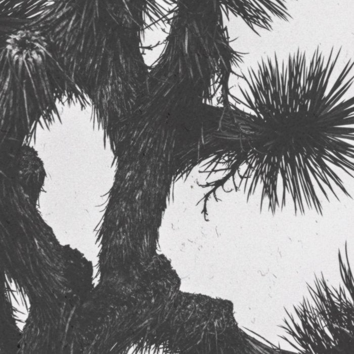 JOSHUA TREE XIII / California Desert Coffee Mug Gallery Image 2