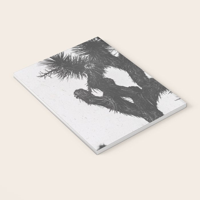 JOSHUA TREE XIII / California Desert Notebook Gallery Image 3