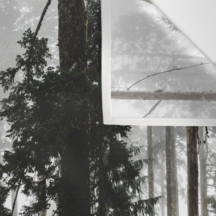 Foggy Forest Road - Pacific Northwest Travel Wall Tapestry Gallery Image 3