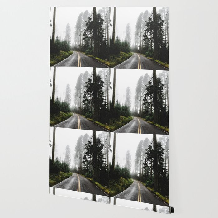 Foggy Forest Road - Pacific Northwest Travel Wallpaper Gallery Image 2