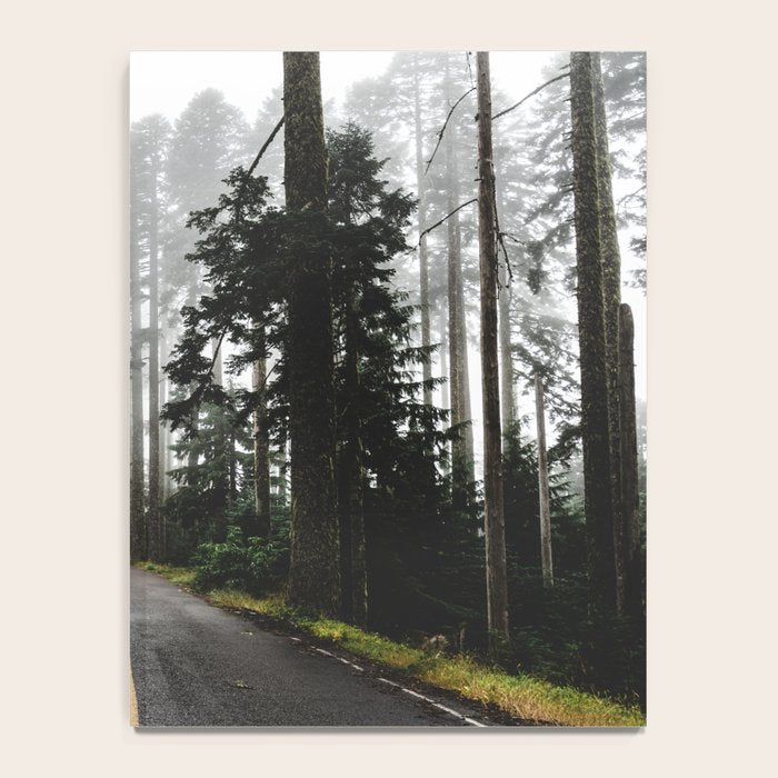 Foggy Forest Road - Pacific Northwest Travel Notebook Gallery Image 4