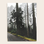Foggy Forest Road - Pacific Northwest Travel Notebook Gallery Image 4