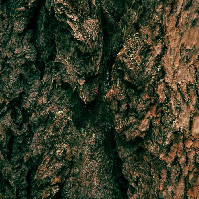 Tree Bark Coffee Mug Gallery Image 2
