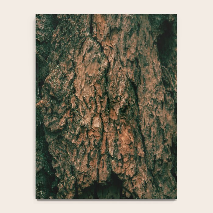 Tree Bark Notebook Gallery Image 4