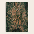 Tree Bark Notebook Gallery Image 4