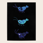 Red and blue shrimp Poster Gallery Image 4
