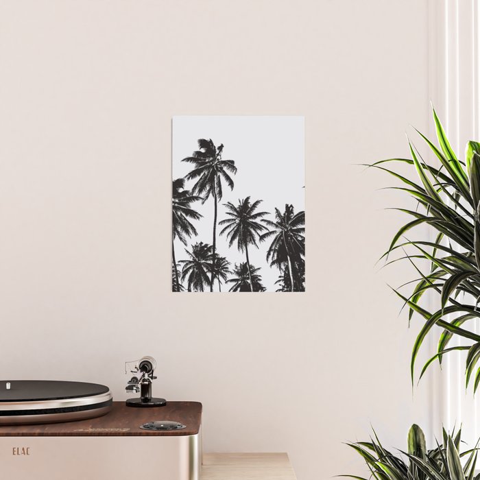 Palm 05 Poster Gallery Image 2
