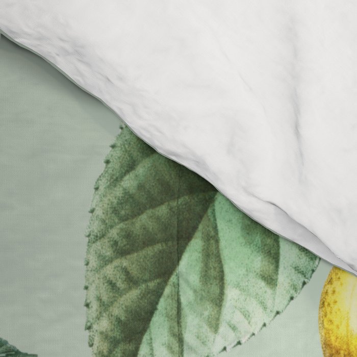 Persimmon Botanical Bloom Mint Green  Comforter Gallery Image 4