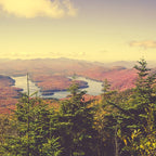 Endless Mountains Forever Wild Coffee Mug Gallery Image 2