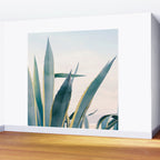 Coastal Agave Cactus Wall Mural Gallery Image 2
