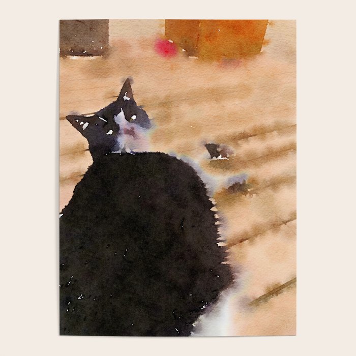 the life of a cat Poster Gallery Image 1