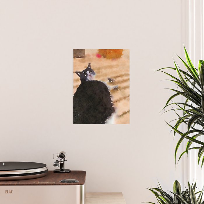 the life of a cat Poster Gallery Image 2