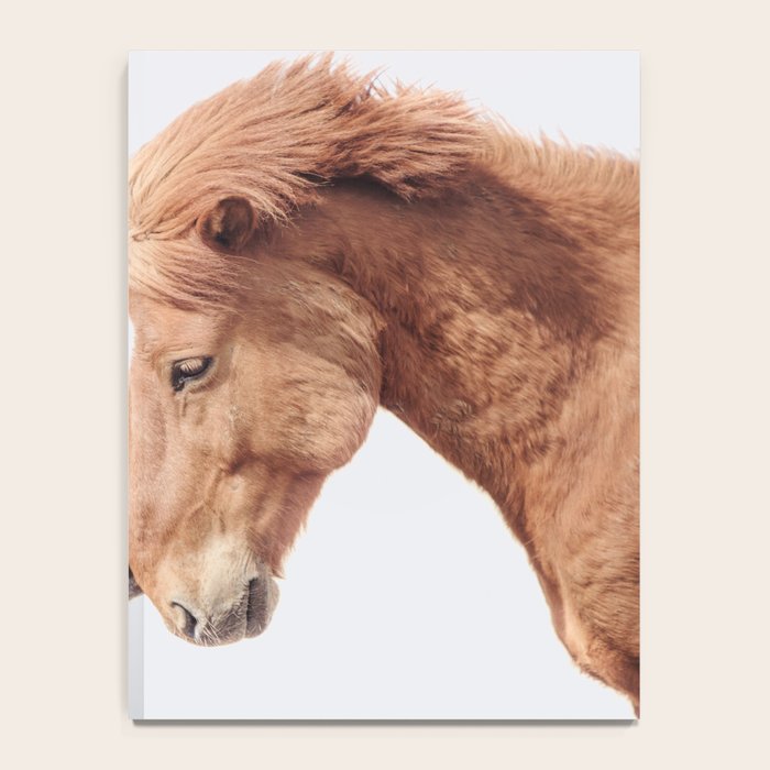 Horse Love Notebook Gallery Image 4