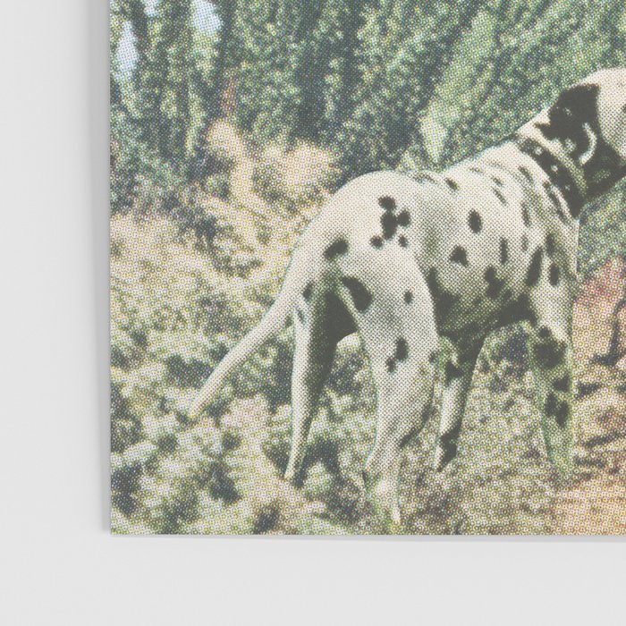 Desert Dots Poster Gallery Image 3