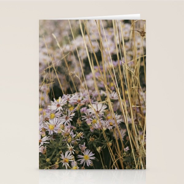 field of aster wildflowers - botanical nature photograph Stationery Card Gallery Image 2