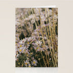 field of aster wildflowers - botanical nature photograph Stationery Card Gallery Image 2