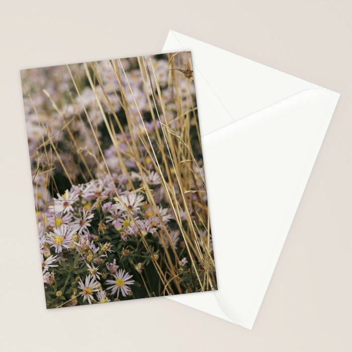 field of aster wildflowers - botanical nature photograph Stationery Card Gallery Image 2