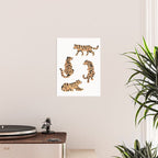 Tigers Poster Gallery Image 2
