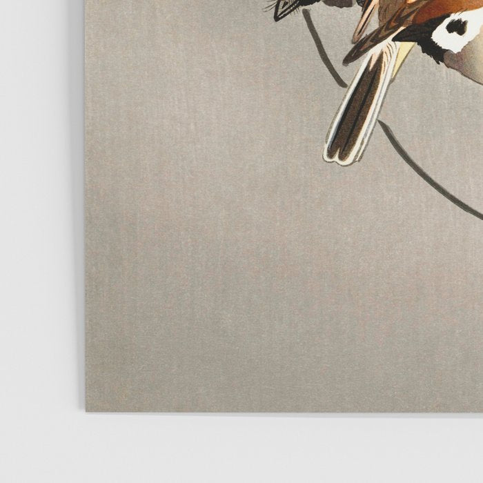 Sparrows and wisteria flower - Vintage Japanese Woodblock Print Art Poster Gallery Image 3