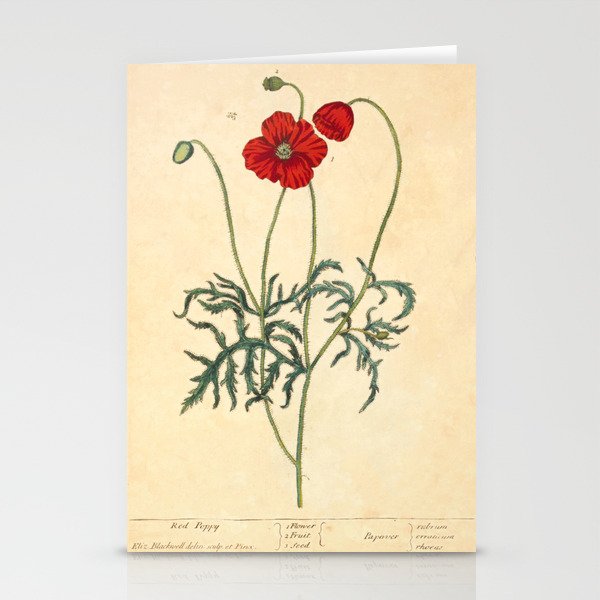Red Poppy by Elizabeth Blackwell from "A Curious Herbal," 1737 (benefits The Nature Conservancy) Stationery Card Gallery Image 2