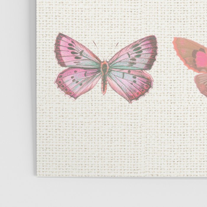 Butterflies in Pink Tones Poster Gallery Image 3