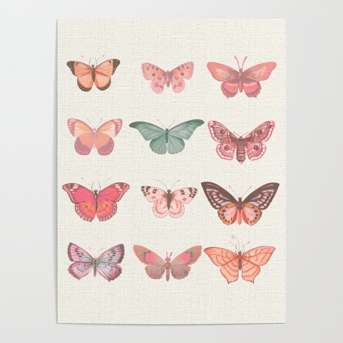 Butterflies in Pink Tones Poster Gallery Image 4
