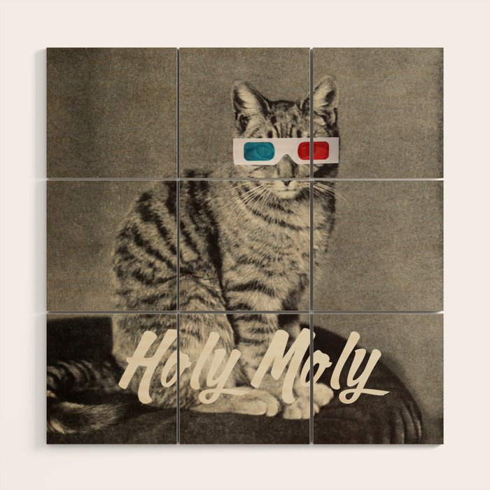 Holy Moly cat Wood Wall Art Gallery Image 1