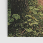 An Oregon Trail Poster Gallery Image 3