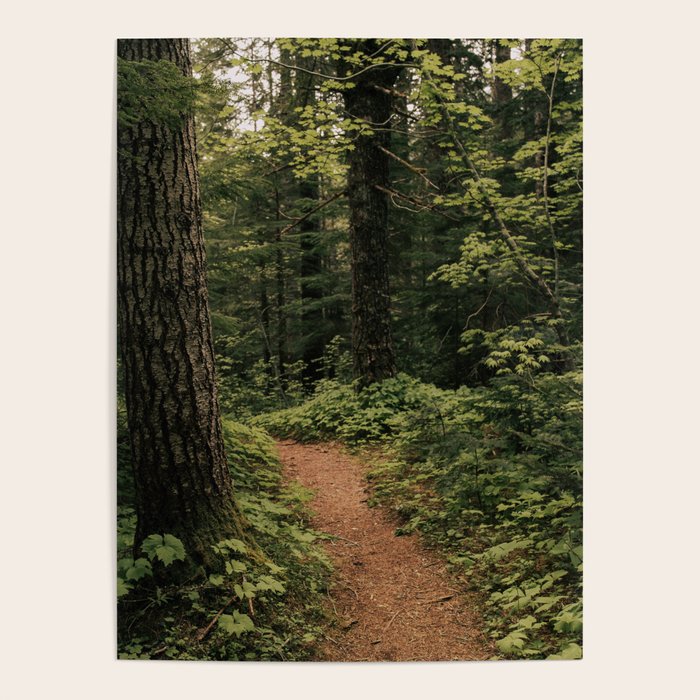 An Oregon Trail Poster Gallery Image 1