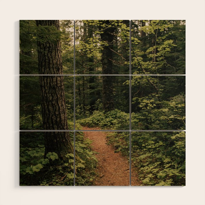 An Oregon Trail Wood Wall Art Gallery Image 1