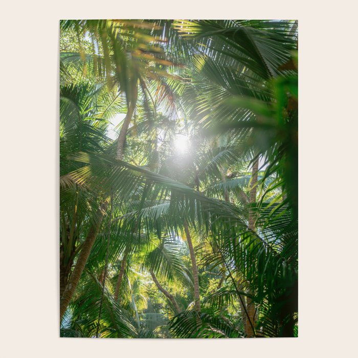 Costa Rica | Palm leaves travel photography Poster Gallery Image 4
