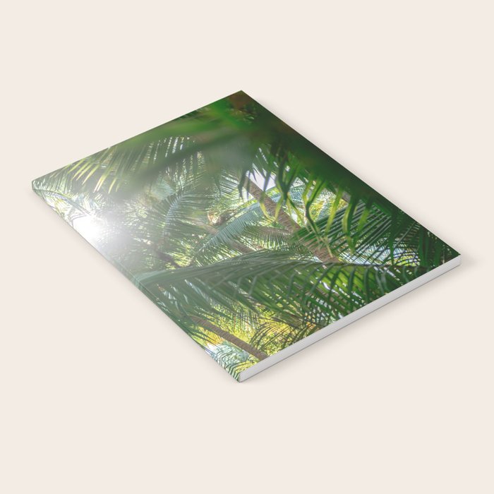 Costa Rica | Palm leaves travel photography Notebook Gallery Image 2