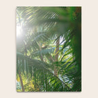 Costa Rica | Palm leaves travel photography Notebook Gallery Image 4