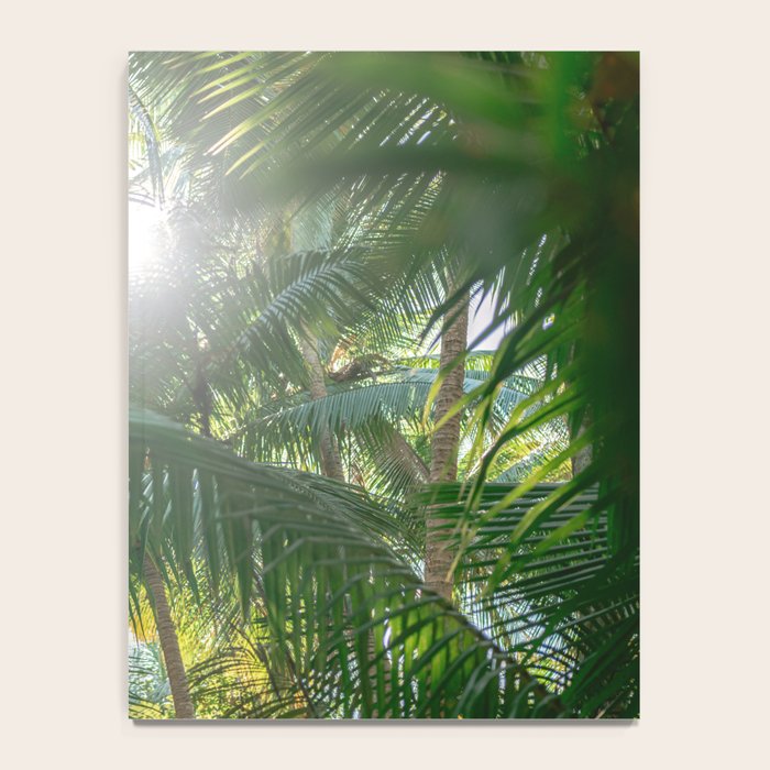 Costa Rica | Palm leaves travel photography Notebook Gallery Image 4