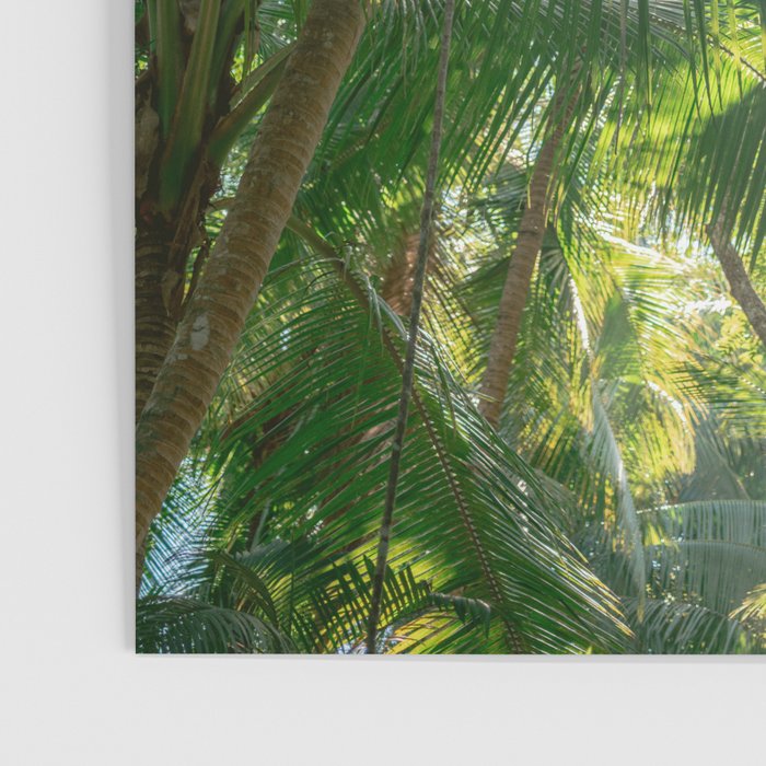 Costa Rica | Palm leaves travel photography Poster Gallery Image 3