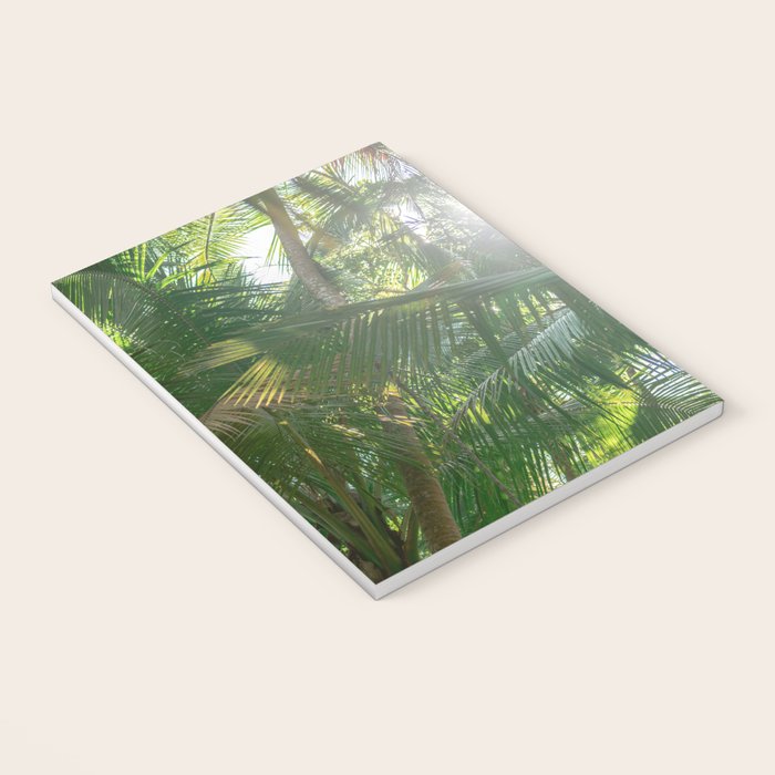 Costa Rica | Palm leaves travel photography Notebook Gallery Image 3