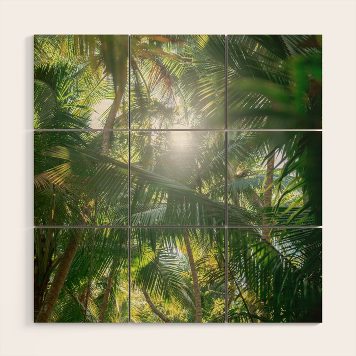 Costa Rica | Palm leaves travel photography Wood Wall Art Gallery Image 1