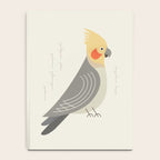 Cockatiel, Bird of Australia Notebook Gallery Image 4