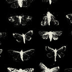 moths Coffee Mug Gallery Image 2