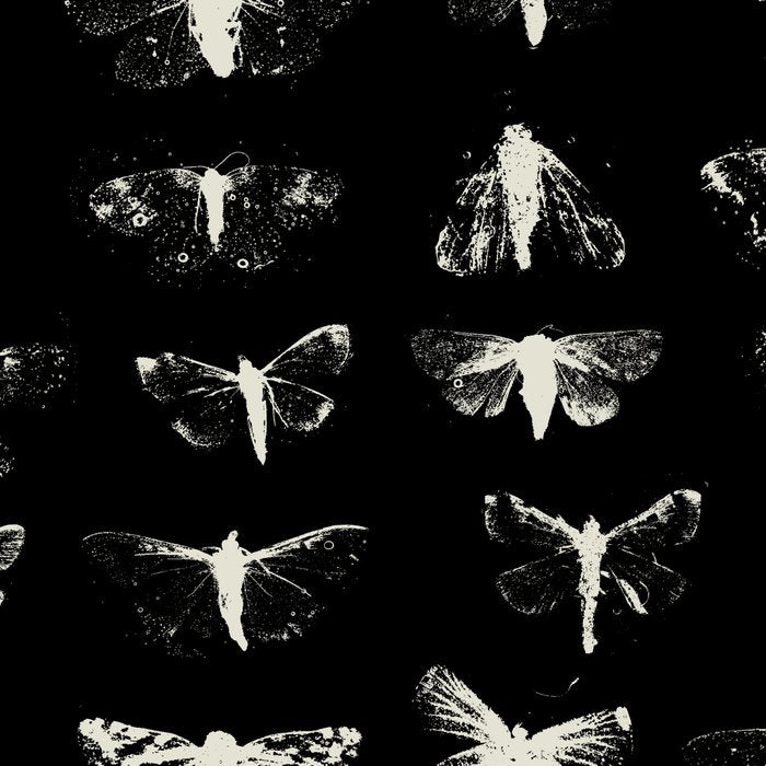 moths Coffee Mug Gallery Image 2