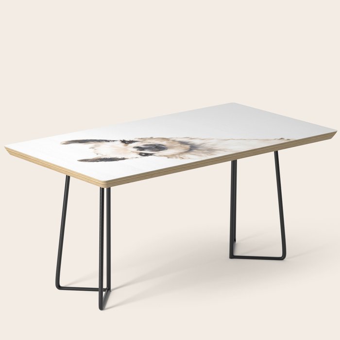 Sneaky Llama White Coffee Table Gallery Image 1