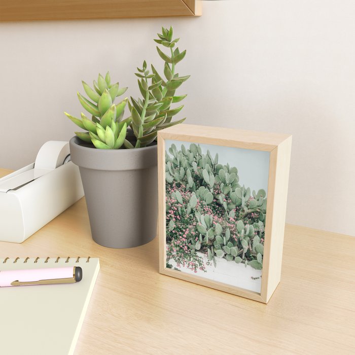 Prickly Pear Cactus and Flowers, Austin, Texas Mini Art Print Gallery Image 2