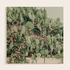 Prickly Pear Cactus and Flowers, Austin, Texas Wood Wall Art Gallery Image 1