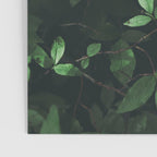 Some Greenery Poster Gallery Image 3