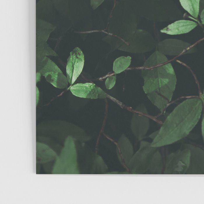 Some Greenery Poster Gallery Image 3