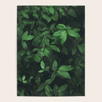 Some Greenery Poster Gallery Image 4