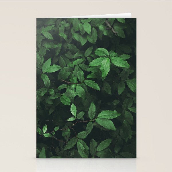Some Greenery Stationery Card Gallery Image 2
