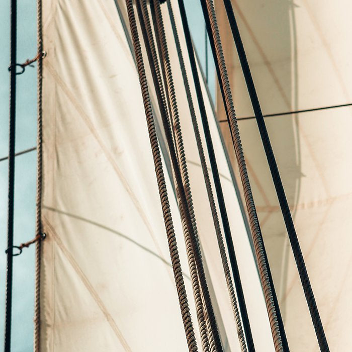 Set Sail Coffee Mug Gallery Image 2