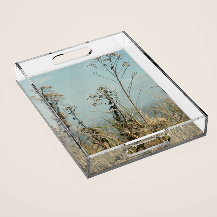 November Field - nature photo environment outdoors Acrylic Tray Gallery Image 1